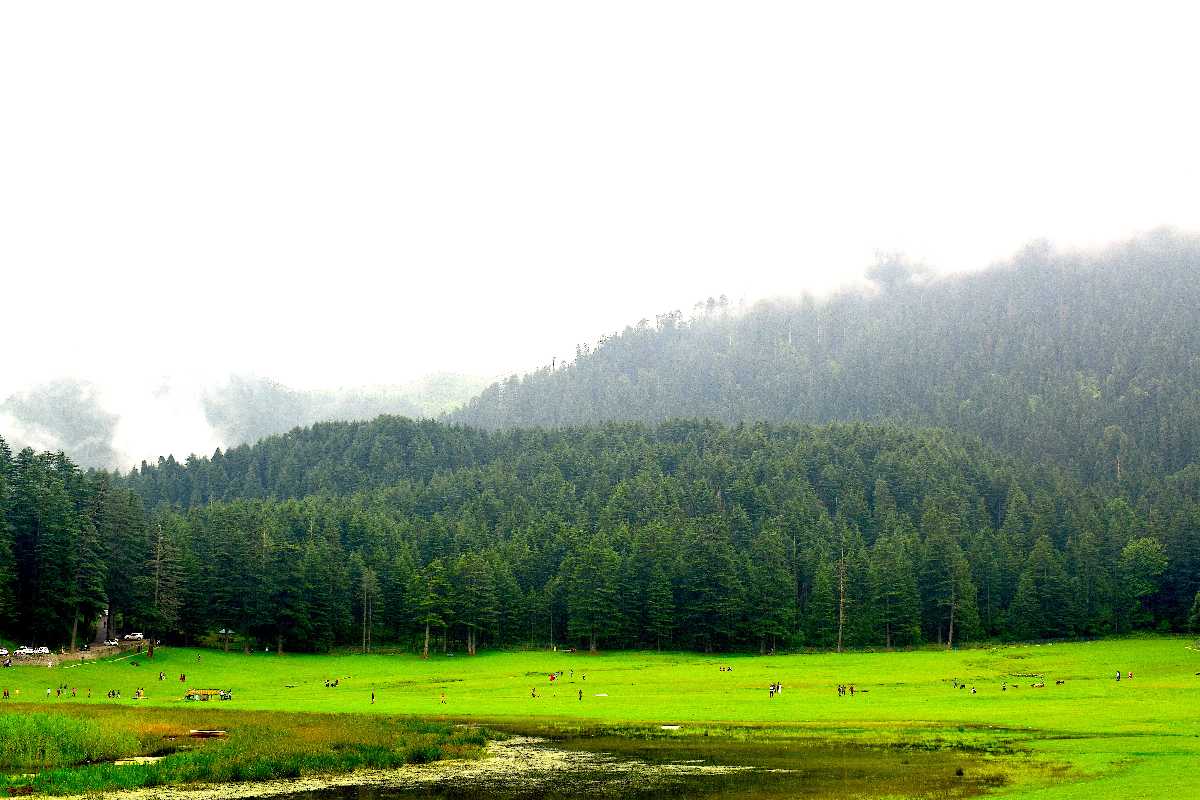 KHAJJIAR.jpg